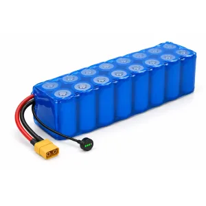48V LiFePO4 Elektrikli Bisiklet Aküsü (16S, 32700)