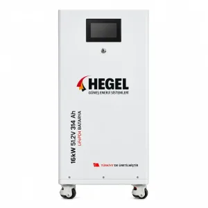 Hegel 51.2V 314Ah 16 kWh LiFePO4 Lityum Akü — Tekerlekli Kabin